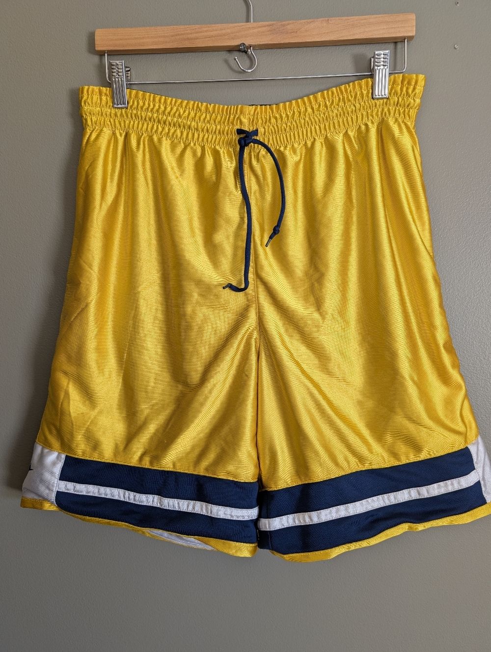 Vintage Nike Reversible Shimmer Shorts Size M/L
